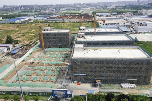 宿遷搶抓“它經(jīng)濟(jì)”新風(fēng)口 50億級寵物經(jīng)濟(jì)產(chǎn)業(yè)園蓄勢待發(fā)